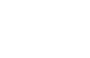 Shire Gymnastics Horizontal Logo